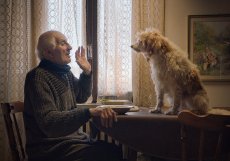 Večeři předcházel snímek Lovci lanýžů zachycující život starých mužů a jejich psů, kteří lovu lanýžů zasvětili mnoho desítek let