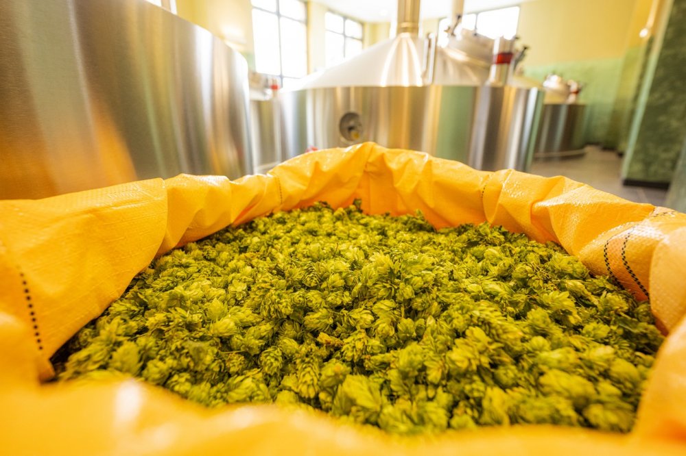 Díky rozšíření varny už ve Svijanech nemusí pivo vařit o víkendech a svátcích