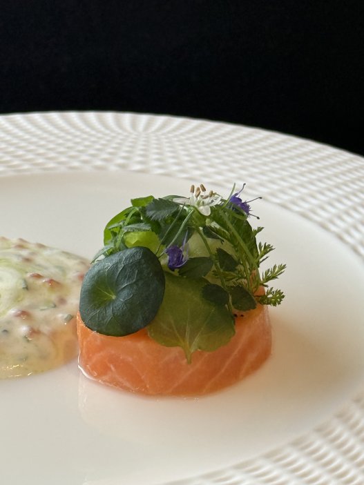 Marinovaný alpský siven s křenem a okurkou patřil k nejlepším chodům letního degustačního menu.