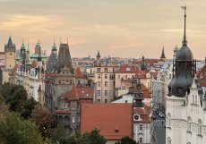 Praha na dlani