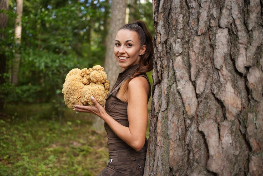 Kotrč patří mezi houby, které většina lidí přehlíží, přitom jde o skutečnou gastronomickou lahůdku.