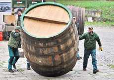 Dvakrát do roka přichází v pivovaru čas na tradiční smolení. Letos na podzim dostane nový vnitřní povrch sedmnáct velkých ležáckých sudů. Bednáři do každého nalijí smolu ohřátou na dvě stě stupňů Celsia a převalováním ji rozvedou po celé vnitřní ploše