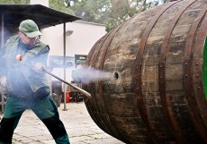 Dvakrát do roka přichází v pivovaru čas na tradiční smolení. Letos na podzim dostane nový vnitřní povrch sedmnáct velkých ležáckých sudů. Bednáři do každého nalijí smolu ohřátou na dvě stě stupňů Celsia a převalováním ji rozvedou po celé vnitřní ploše
