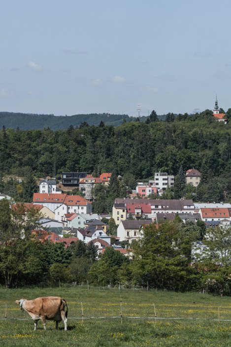 Na strmém pozemku pod lesem na Zbraslavi vznikl dům pro dvě spřátelené rodiny. Parcela s původní dřevěnou chatou byla obtížně zastavitelná, její cena ale podle autorů odpovídala zhruba osmdesátimetrovému bytu v lokalitě. Architekti z kanceláře Mimosa na ni posadili dva jednoduché objemy, každý s vlastním bytem, terasou a výhledem do Břežanského údolí. Dům díky tmavé fasádě splývá s lesem a využívá společné technické zázemí, tepelné čerpadlo, dešťovou vodu i vegetační střechu.