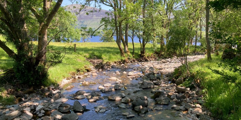Newstream