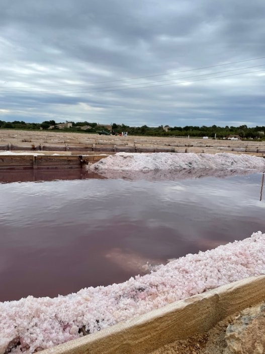 Solný květ se tvoří na hladině salin, v ideálních klimatických podmínkách se může sklízet každý den.
