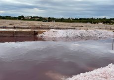 Solný květ se tvoří na hladině salin, v ideálních klimatických podmínkách se může sklízet každý den.