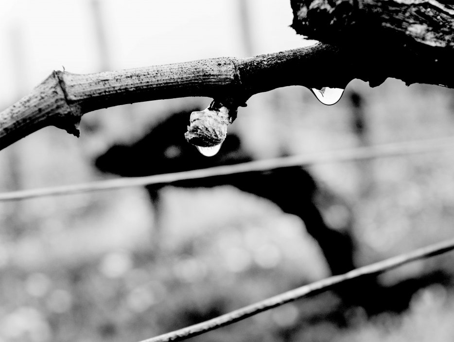Newstream