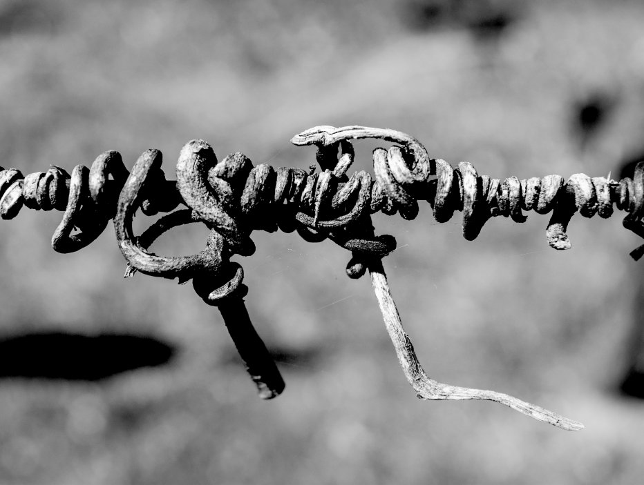 Newstream