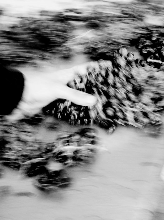 Newstream