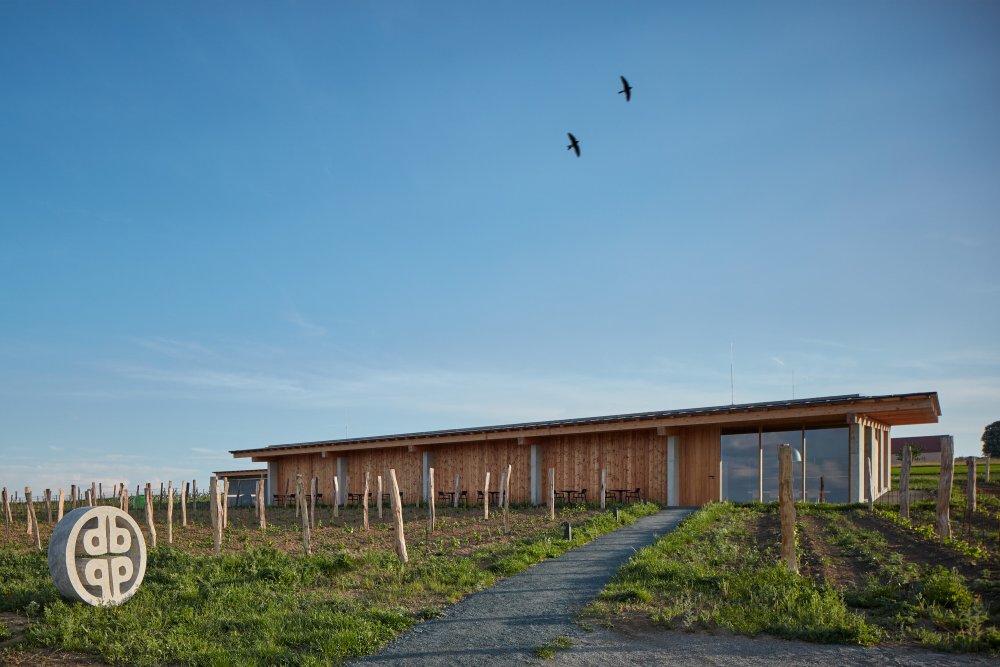 Horizontální budova vinařství zapadá do kontextu okolní krajiny.