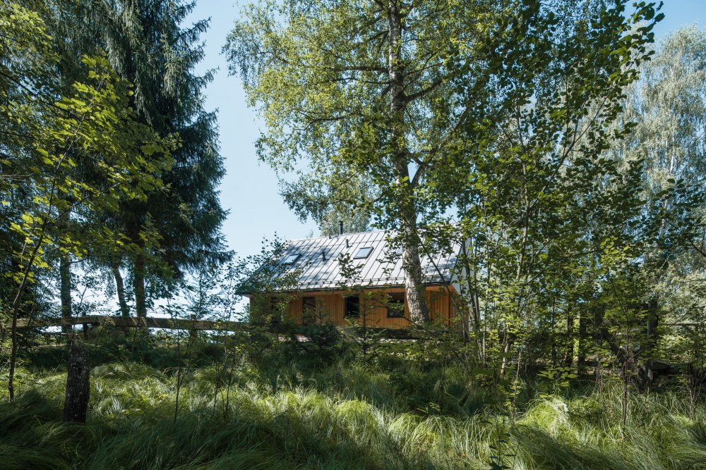 Vzrostlá zeleň na pozemku "chrání" chatu od železnice.