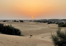 Výjezd do pouště na západ slunce je nejoblíbenější aktivitou, kterou Al Maha nabízí 