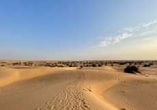 Výjezd do pouště na západ slunce je nejoblíbenější aktivitou, kterou Al Maha nabízí 