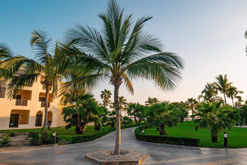 Ománské resorty většinou nabízejí pětihvězdičkový standard.