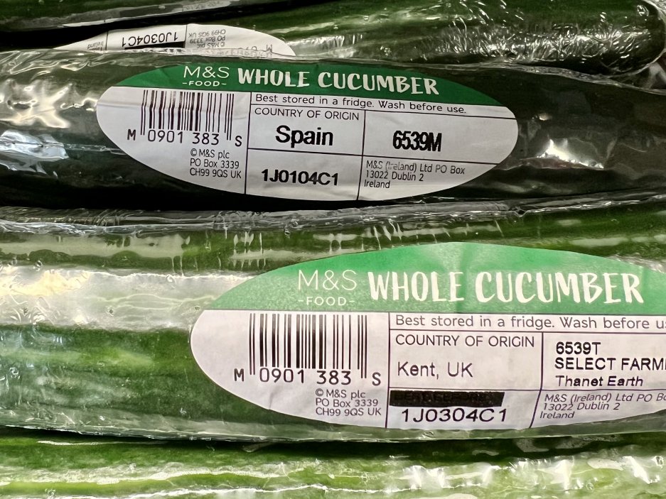 Mezi okurkami z dovozu se již v březnu objevila domácí produkce.