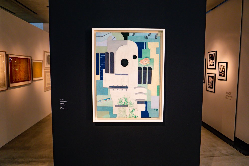 Na výstavě je k vidění také několik obrazů malířky Toyen.
