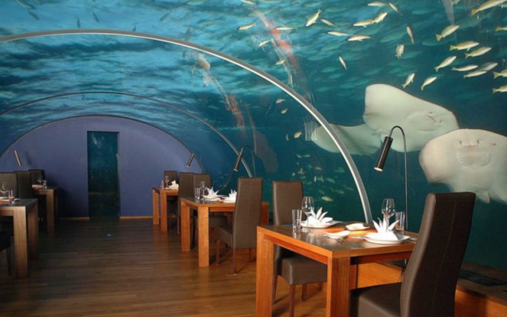 Restaurace Ithaa, Alif Dhaal Atoll, Maledivy V restauraci Ithaa 5m pod hladinou moře může až 14 hostů při degustaci evropských a asijských specialit nerušeně pozorovat život v moři a výhled na útes. Přístup do restaurace, jejíž název v překladu znamená perla, je po točitém schodišti přímo z mola.