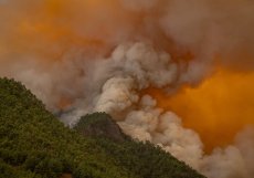 Na Tenerife shořelo šest procent území, plameny postupují pomaleji