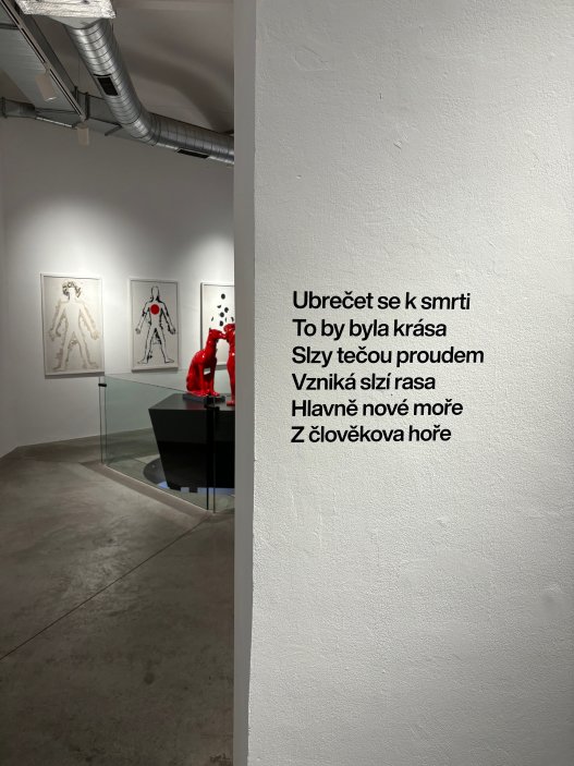 Nová výstava Milana Knížáka v DSC Gallery