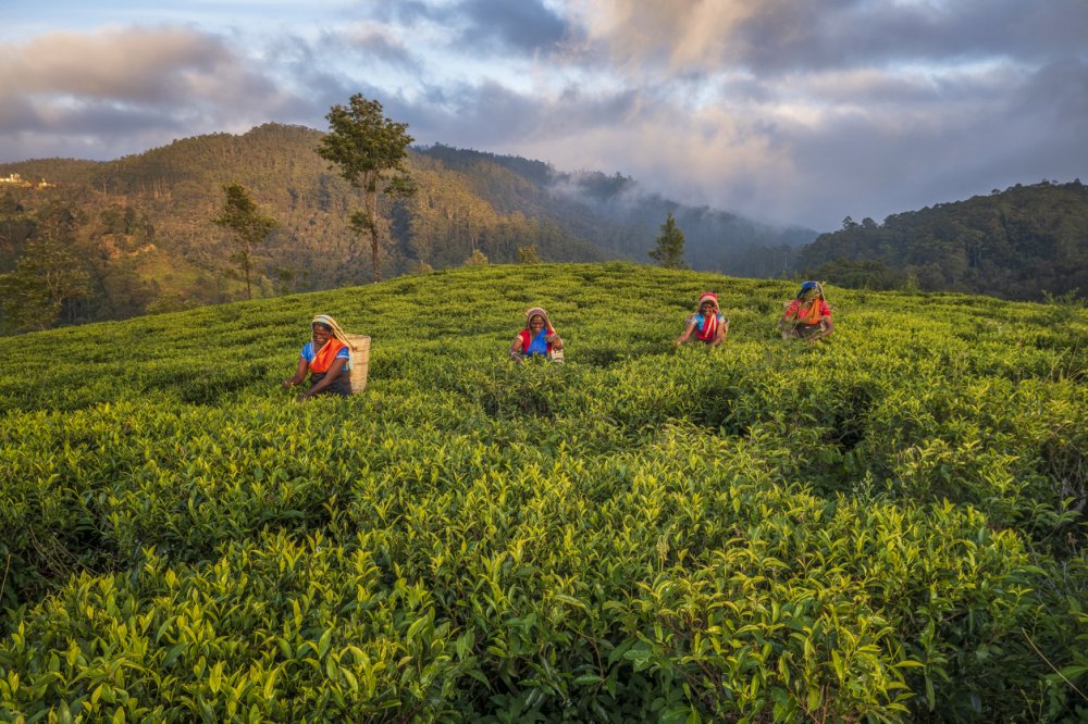 Srí Lanka nabízí českým turistům skvělé zážitky