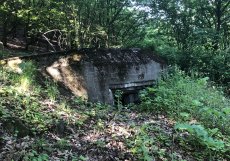 Tento řopík se nachází na rozhraní zemědělských a lesních pozemků a téměř na břehu Úterského potoka u obce Mydlovary na Plzeňsku. Nabízí se za 23 tisíc korun.