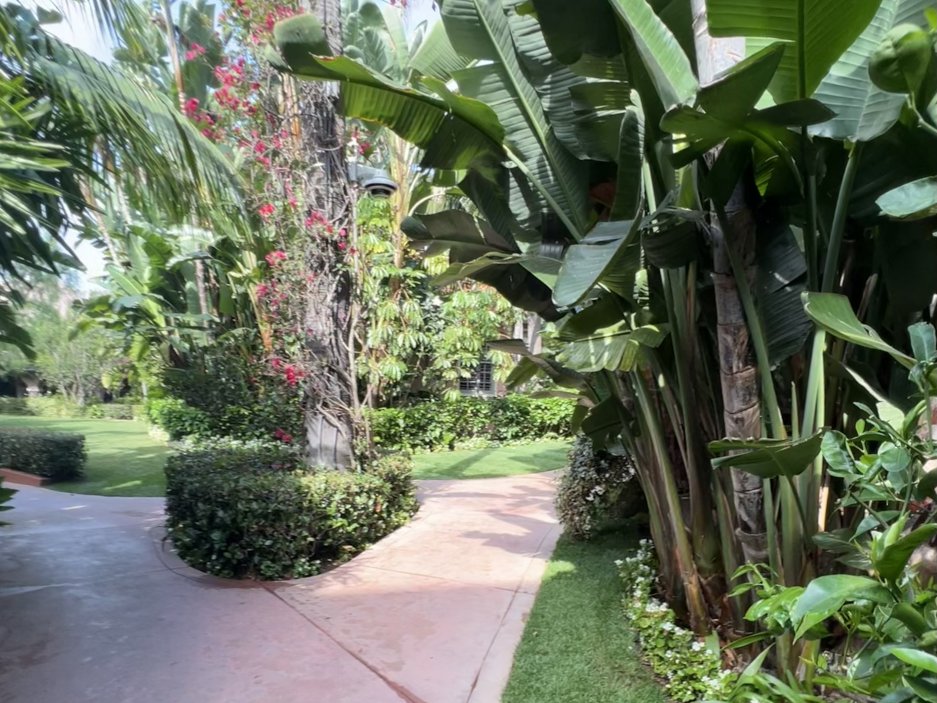Zahrady hotelu v Beverly Hills