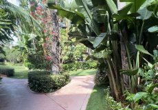 Zahrady hotelu v Beverly Hills