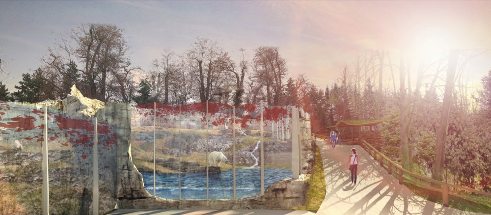 Nový pavilon pro lední medvědy v pražské zoo vyjde na 1,2 miliardy korun